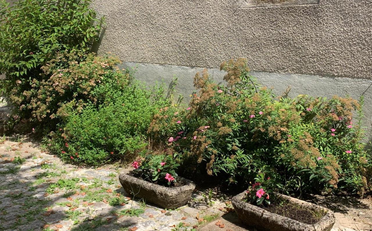 La Cour Pavee, T2 Lumineux, Cosy, Confort 55 M2 Saint-Léonard-de-Noblat Zewnętrze zdjęcie